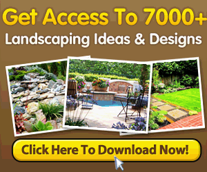 Landscaping Ideas and Designs